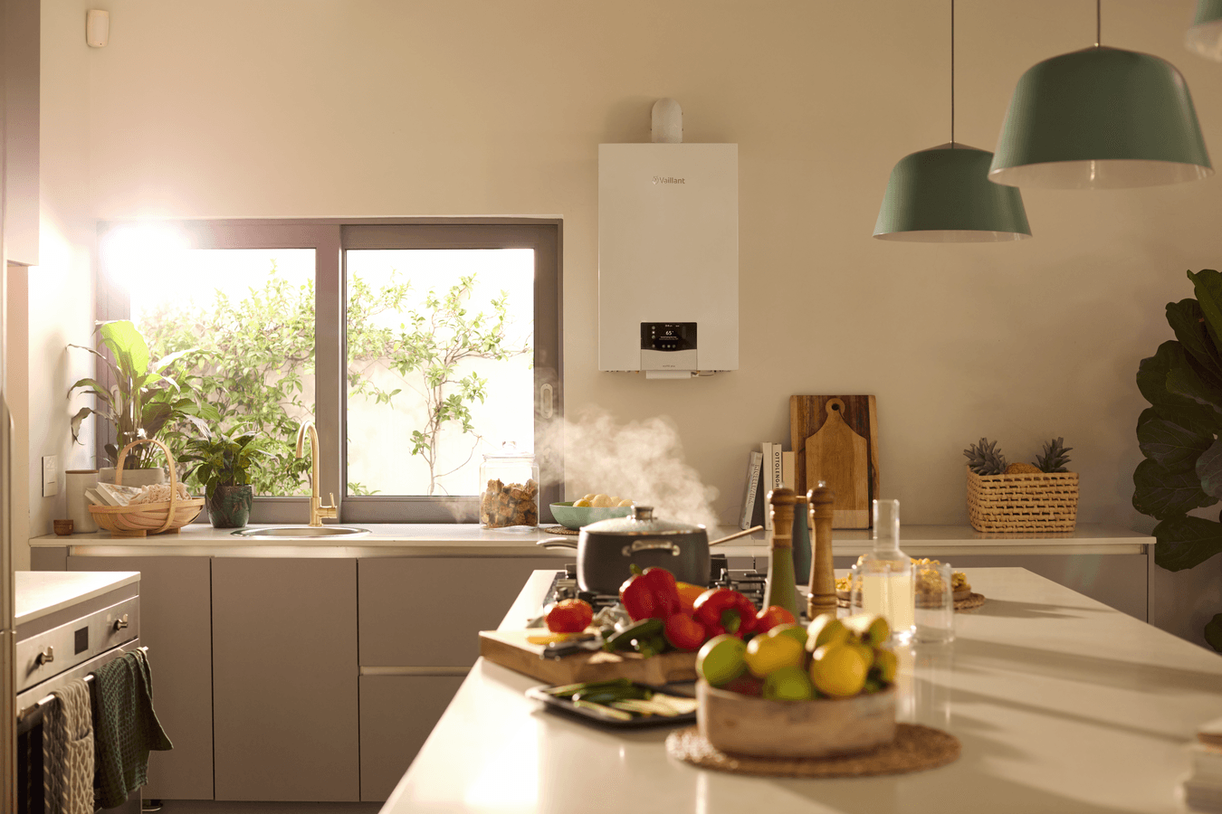 ecoTEC plus 10 - 35 kW scene view