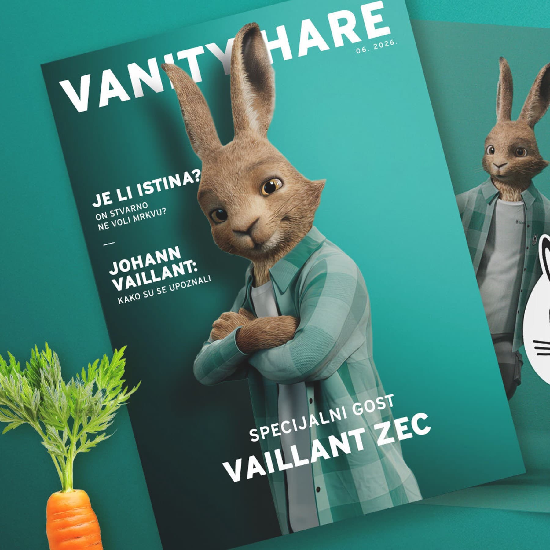 Vaillant Zec
