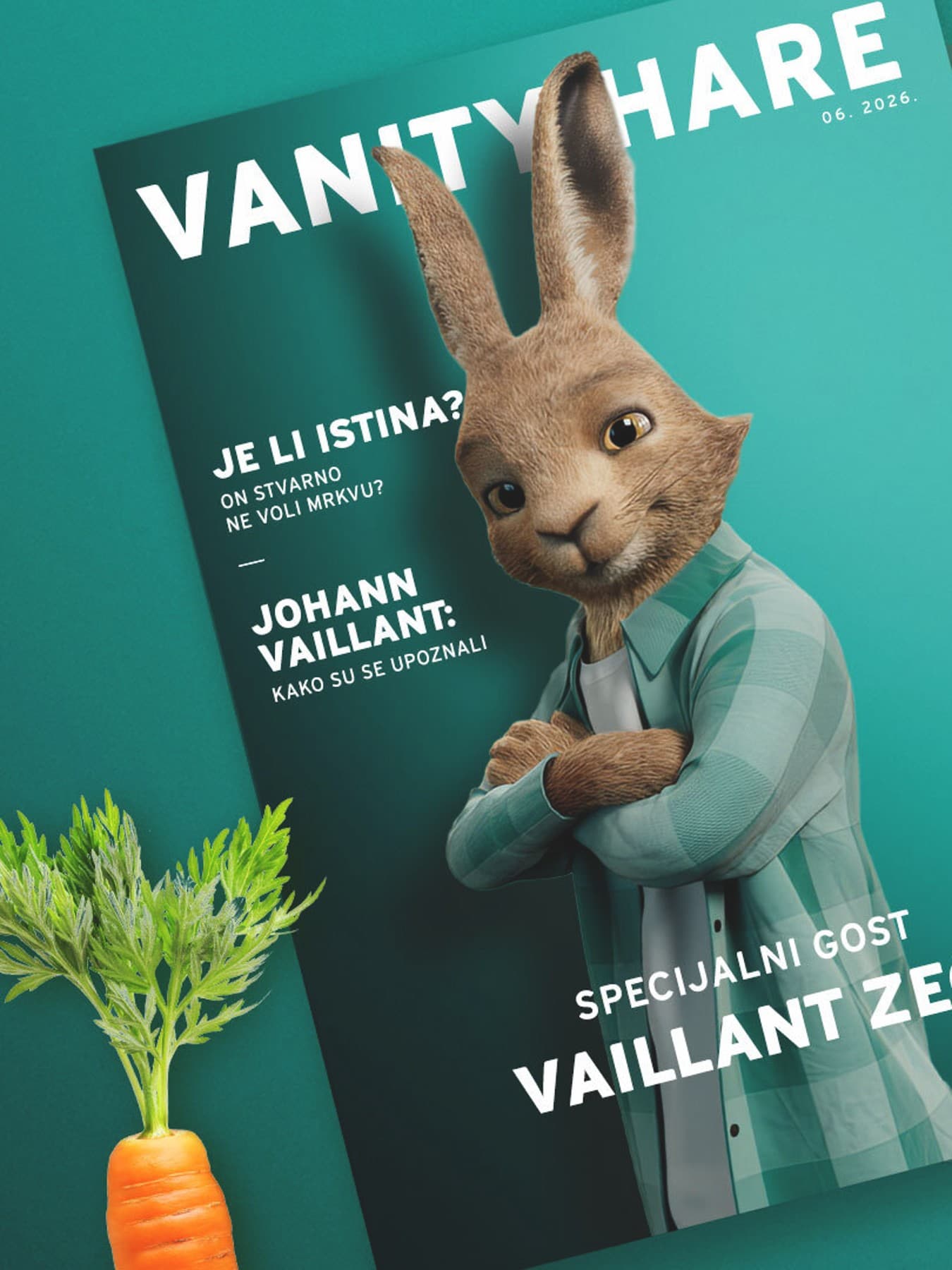 Vaillant Zec