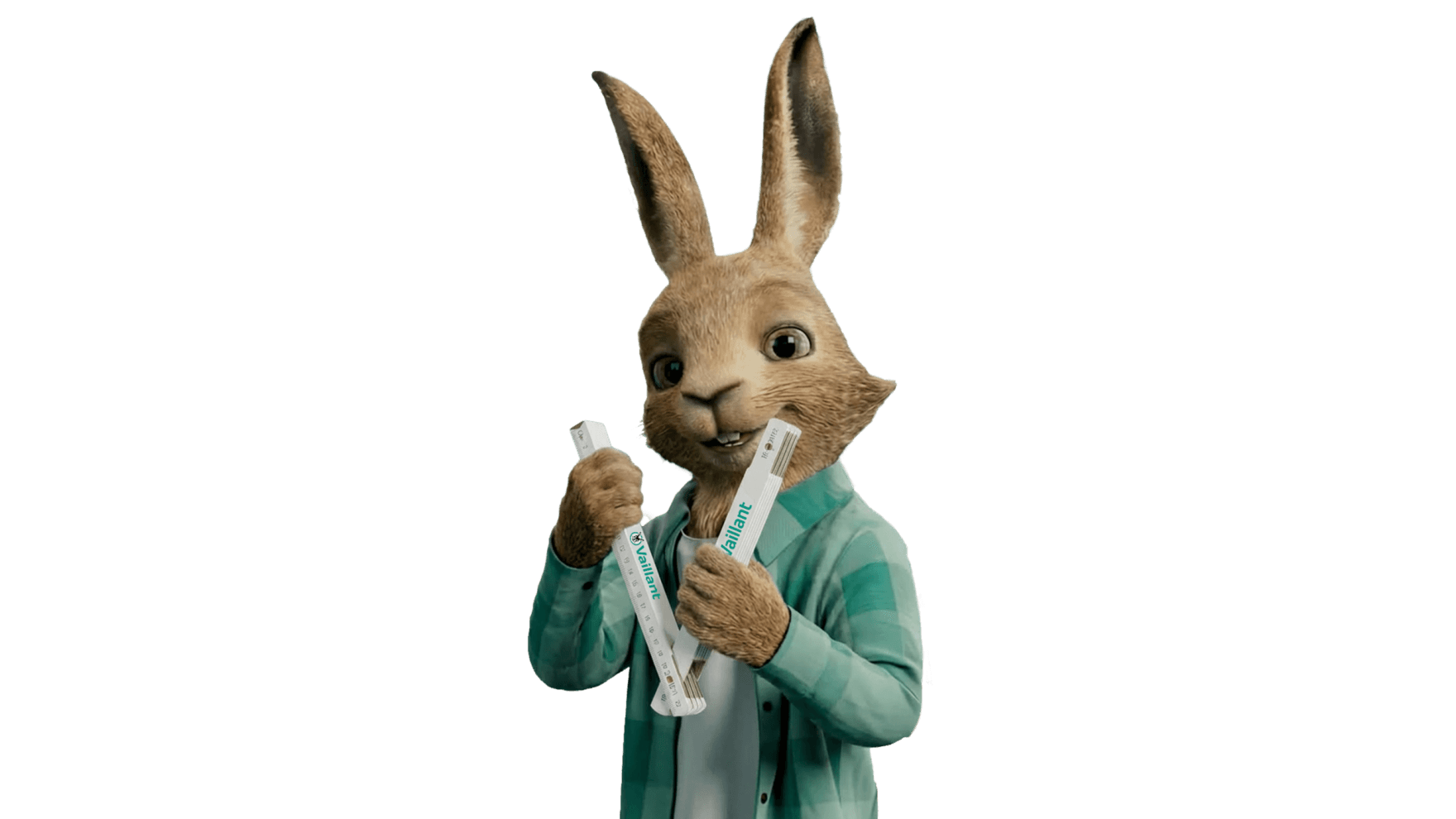 Vaillantov zec drži metar za sklapanje
